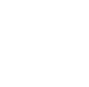 310X300px dubbele logos6