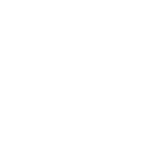 310X300px-logo GZB en Wycliffe