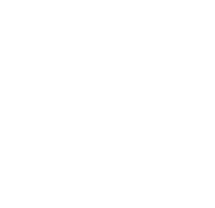 310X300px-logo MAF en SDOK