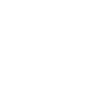 310X300px-logo driestar Gouda
